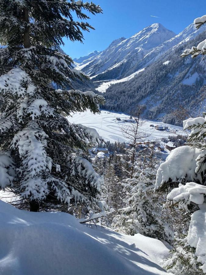 Hotel L'Edelweiss Pralognan-la-Vanoise Dış mekan fotoğraf
